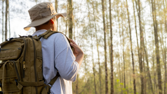 Survival skills for beginners 2025
